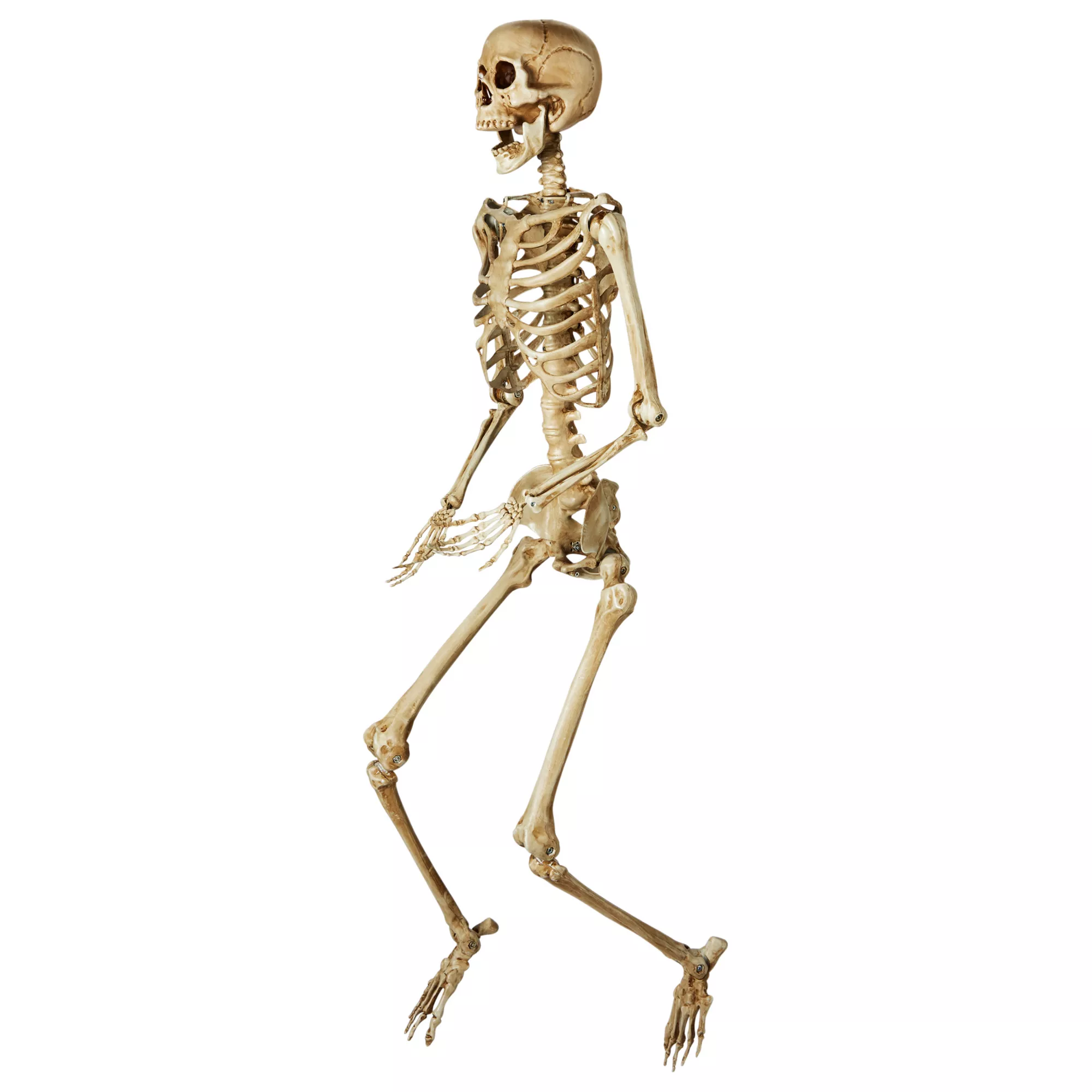 5 Ft Poseable Decayed Skeleton at Spirit Halloween