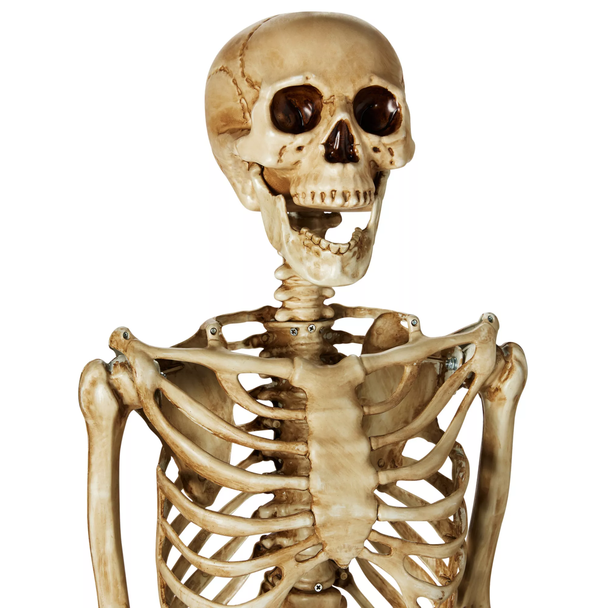 5 Ft Poseable Decayed Skeleton at Spirit Halloween