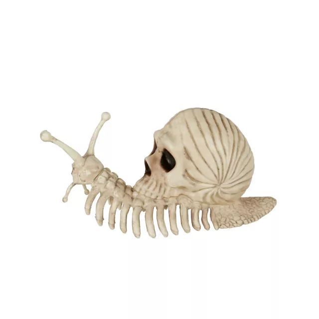 Skeleton Skull Snail at Spencer's