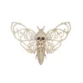 Skeleton Death Moth at Spencer's