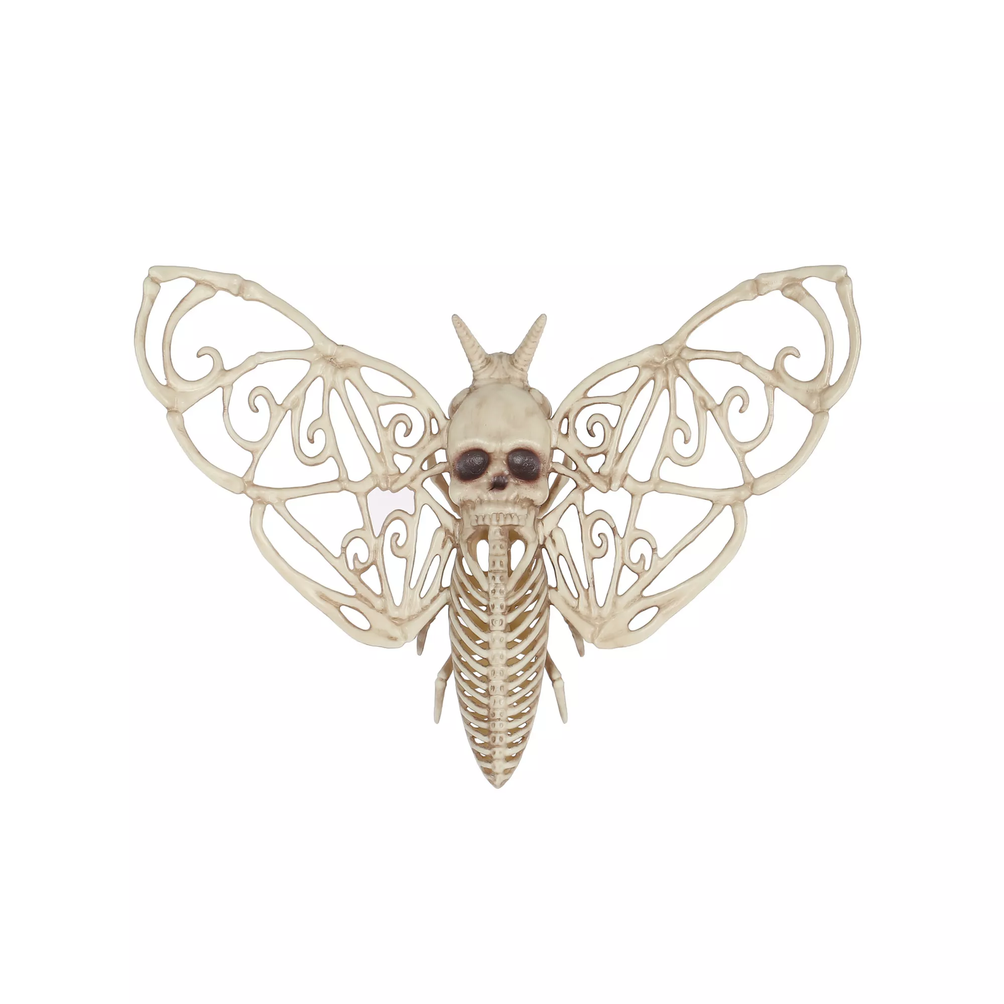Skeleton Death Moth at Spencer's