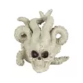 Alien Octopus Skull at Spencer's