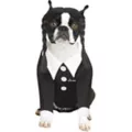 Wednesday Addams Pet Costume - The Addams Family at Spirit Halloween