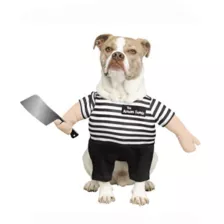 Pugsley Addams Pet Costume - The Addams Family at Spirit Halloween