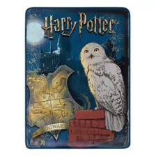 Harry Potter Magical World Fleece Blanket at Spencer's