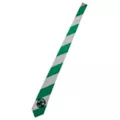 Adult Slytherin Tie – Harry Potter at Spencer's