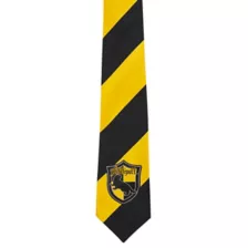 Adult Hufflepuff Tie – Harry Potter at Spencer's