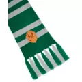 Slytherin Scarf - Harry Potter at Spencer's