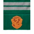 Slytherin Beanie – Harry Potter at Spencer's