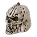 Black and White Pumpkin Skull at Spirit Halloween