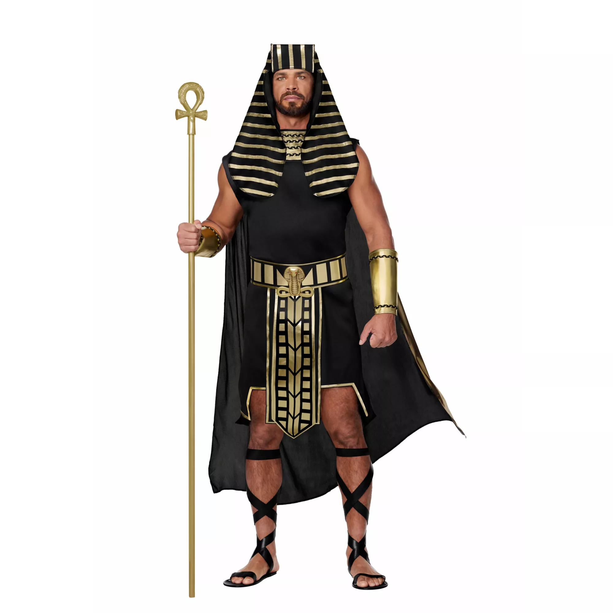Adult Egyptian King Costume at Spirit Halloween