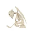 Gargoyle Skeleton at Spirit Halloween
