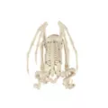 Gargoyle Skeleton at Spirit Halloween