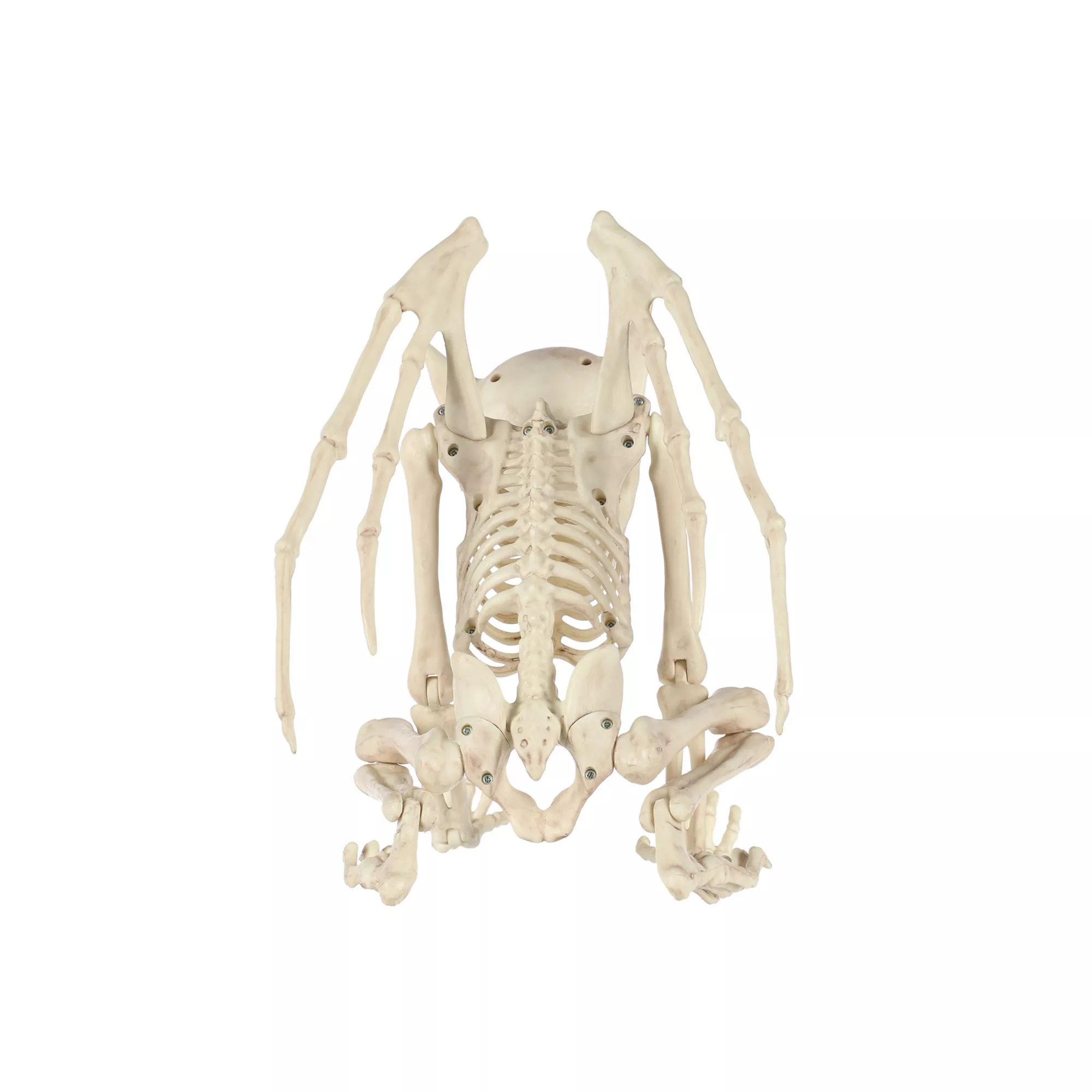 Gargoyle Skeleton at Spirit Halloween