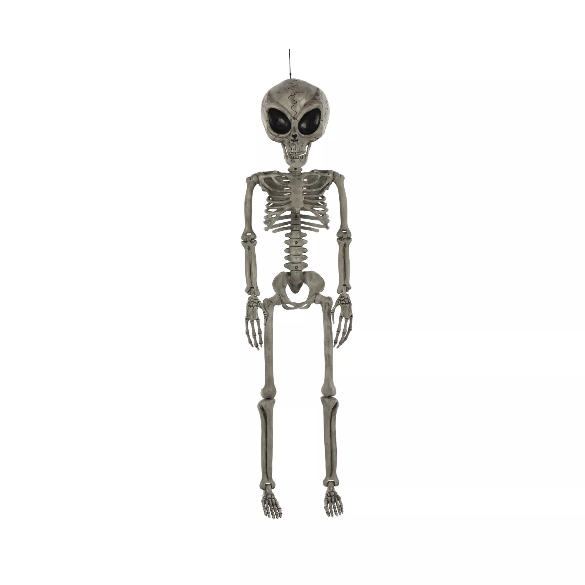 Alien Skeleton - 36 Inches at Spirit Halloween