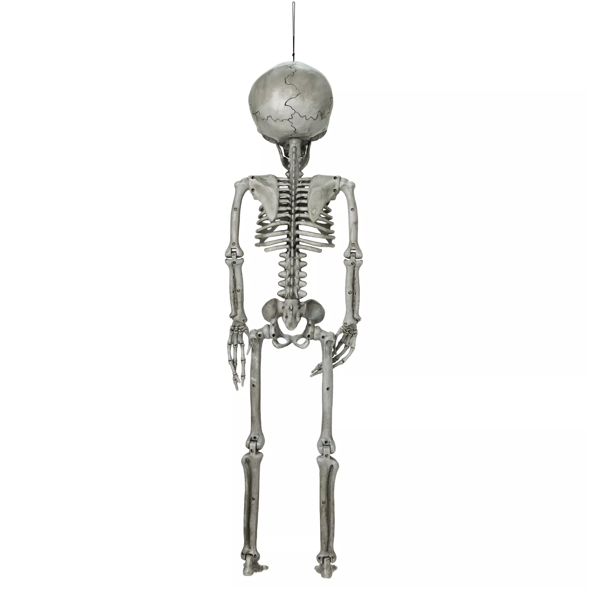 Alien Skeleton - 36 Inches at Spirit Halloween