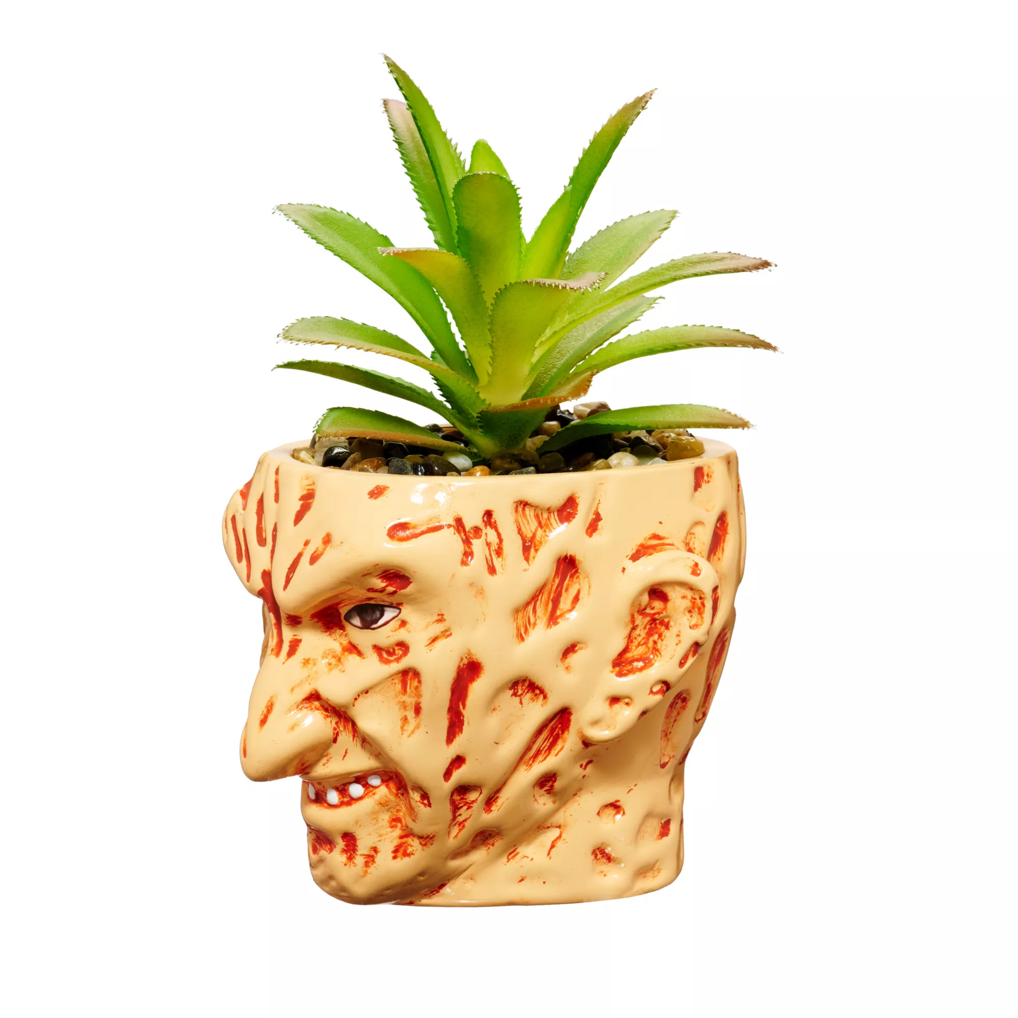 Freddy Krueger Succulent Planter - A Nightmare on Elm Street at Spencer's