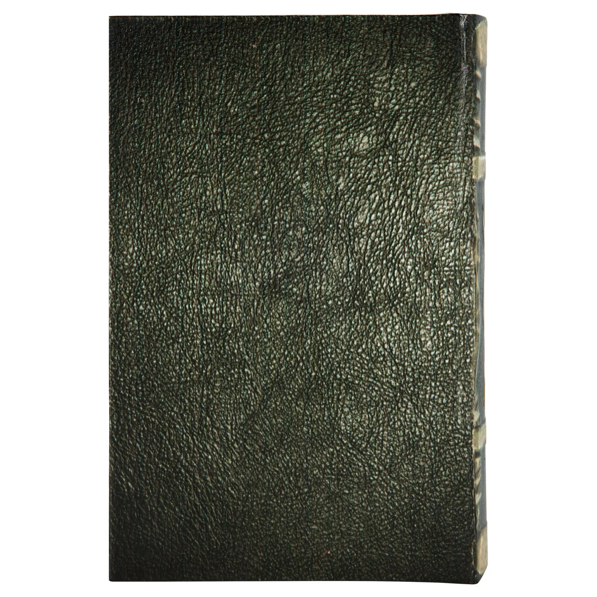 Mystical Ram Book Box