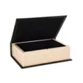 Edgar Allen Poe Book Box at Spirit Halloween