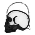 Skull Suncatcher at Spencer's