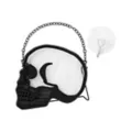 Skull Suncatcher at Spencer's