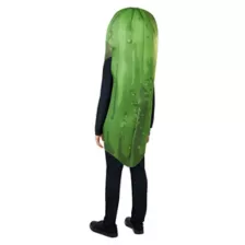 Kids Pickle Costume at Spencer's