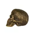 Wrapped Skull Decoration at Spencer's
