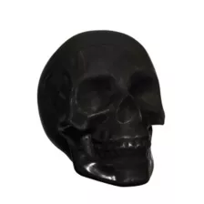 Black Skull Tabletop Decoration at Spencer's