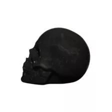 Black Skull Tabletop Decoration at Spencer's