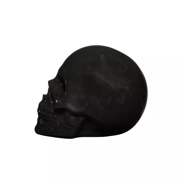 Black Skull Tabletop Decoration at Spencer's