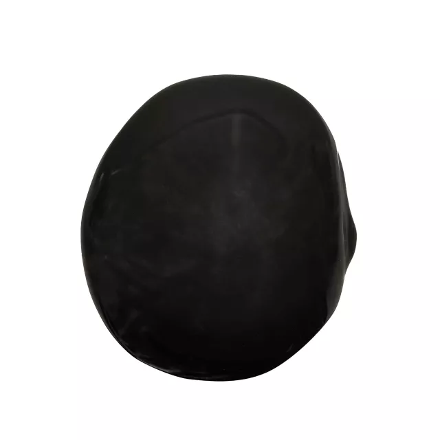 Black Skull Tabletop Decoration at Spencer's