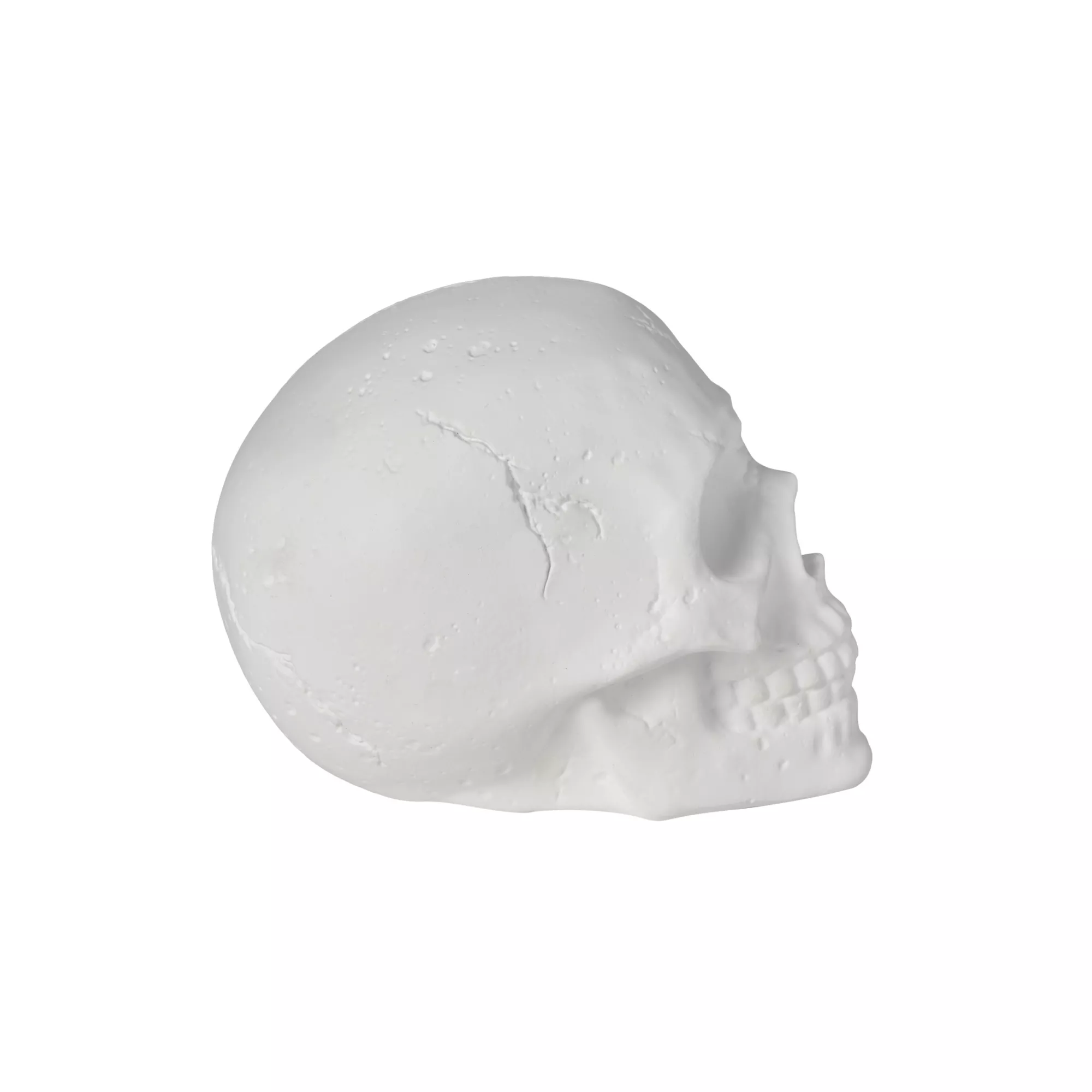 White Skull Tabletop Decoration at Spencer's