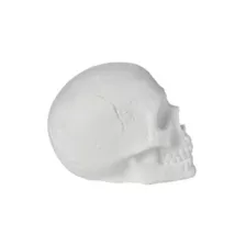 White Skull Tabletop Decoration at Spencer's