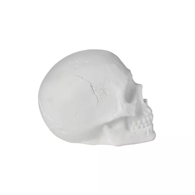White Skull Tabletop Decoration at Spencer's
