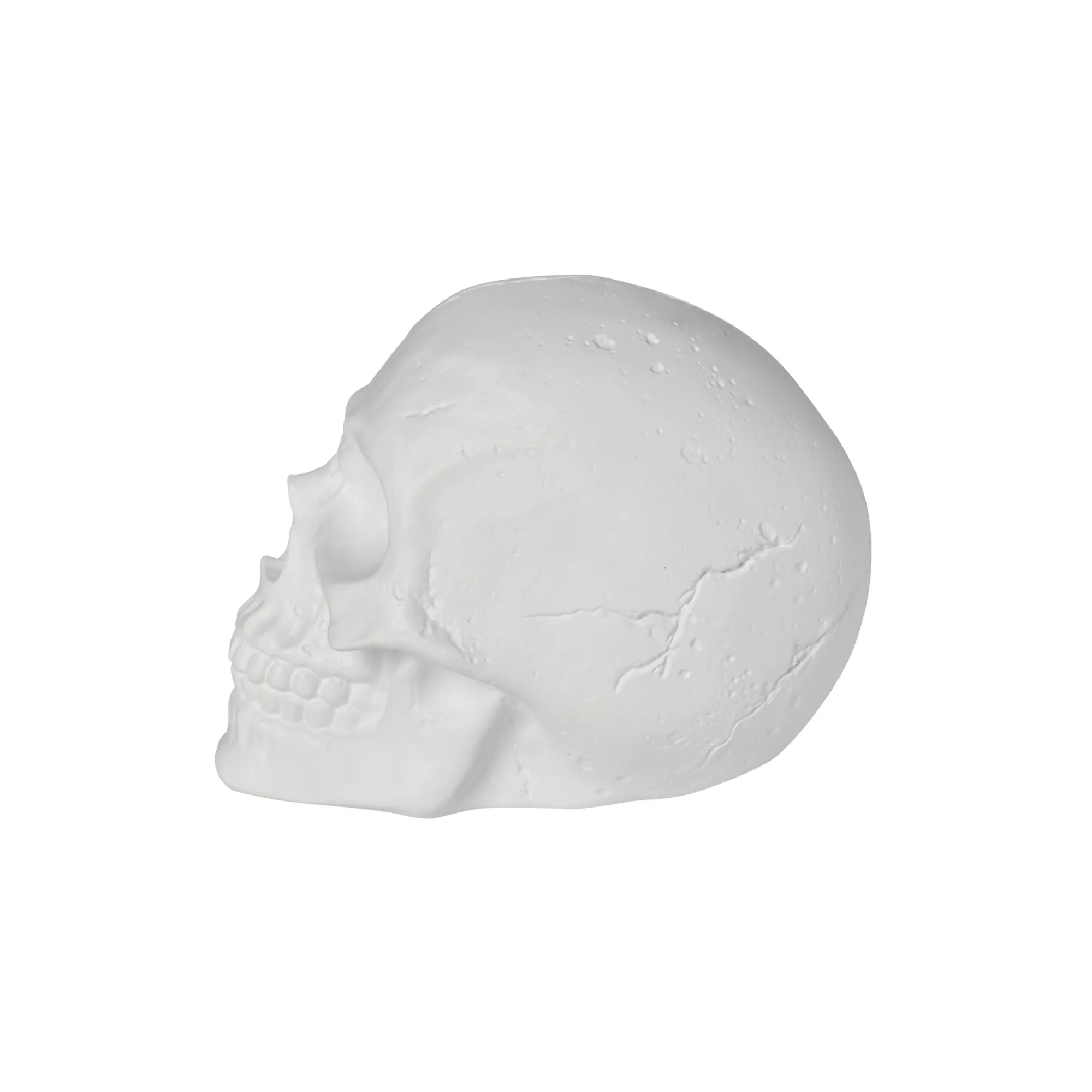 White Skull Tabletop Decoration at Spencer's