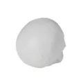 White Skull Tabletop Decoration at Spencer's