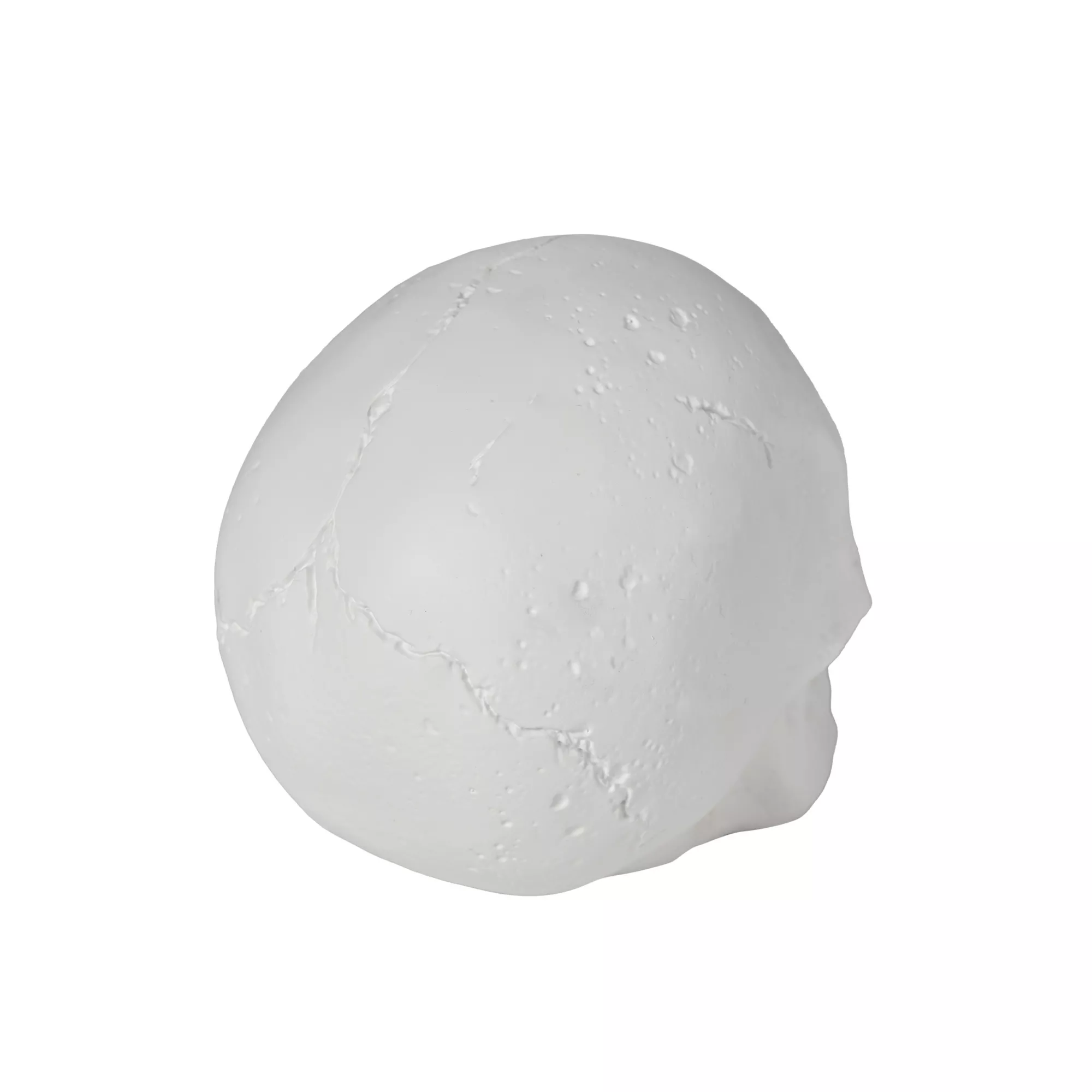 White Skull Tabletop Decoration at Spencer's