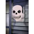 Skull Porch Light Cover at Spirit Halloween