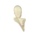 Skeleton Tree Mount Decoration at Spirit Halloween