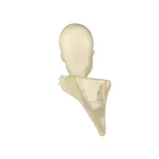 Skeleton Tree Mount Decoration at Spirit Halloween