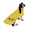 Georgie Raincoat Pet Costume - It at Spirit Halloween