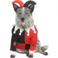 Harley Quinn Pet Costume - DC Villains at Spirit Halloween
