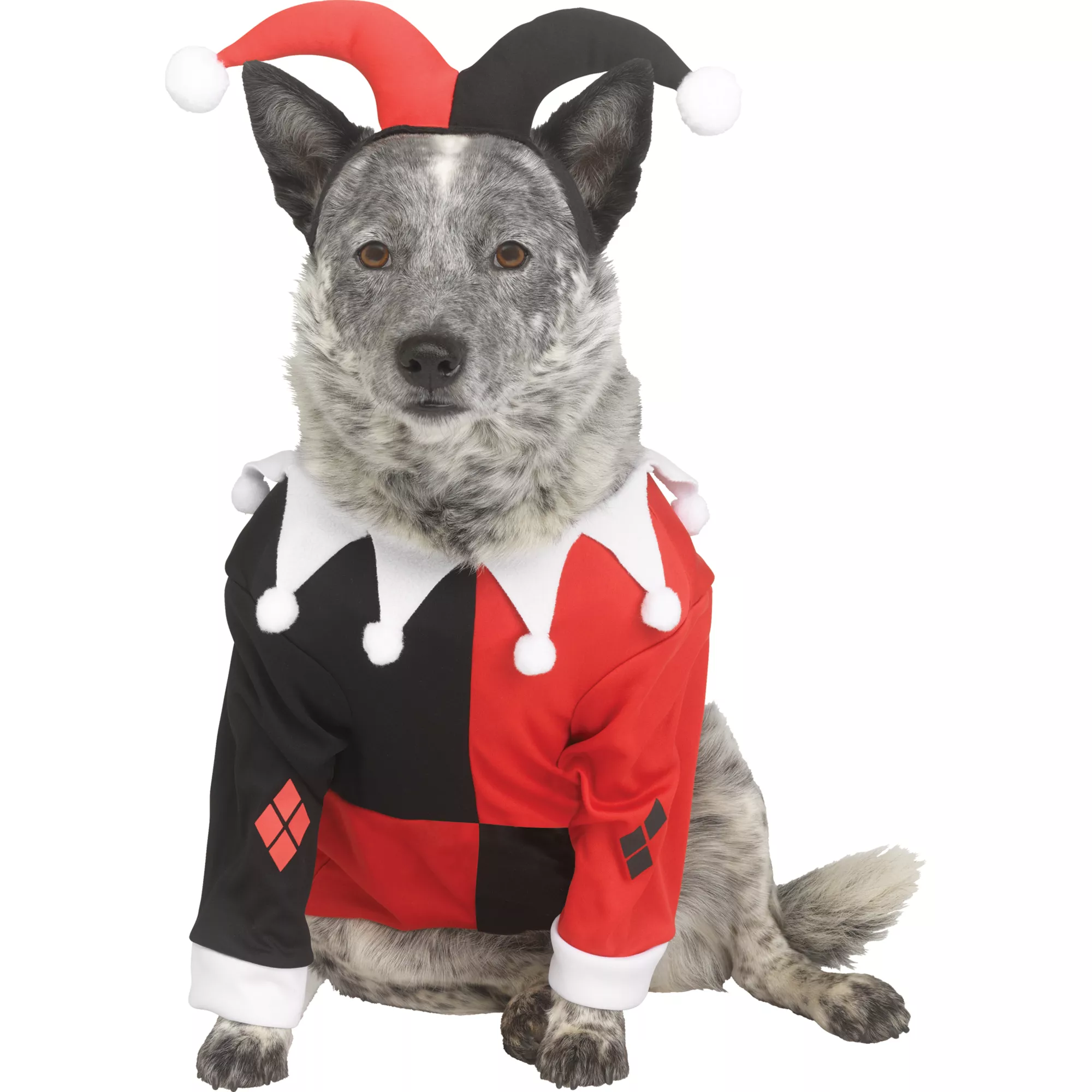 Harley Quinn Pet Costume - DC Villains at Spirit Halloween