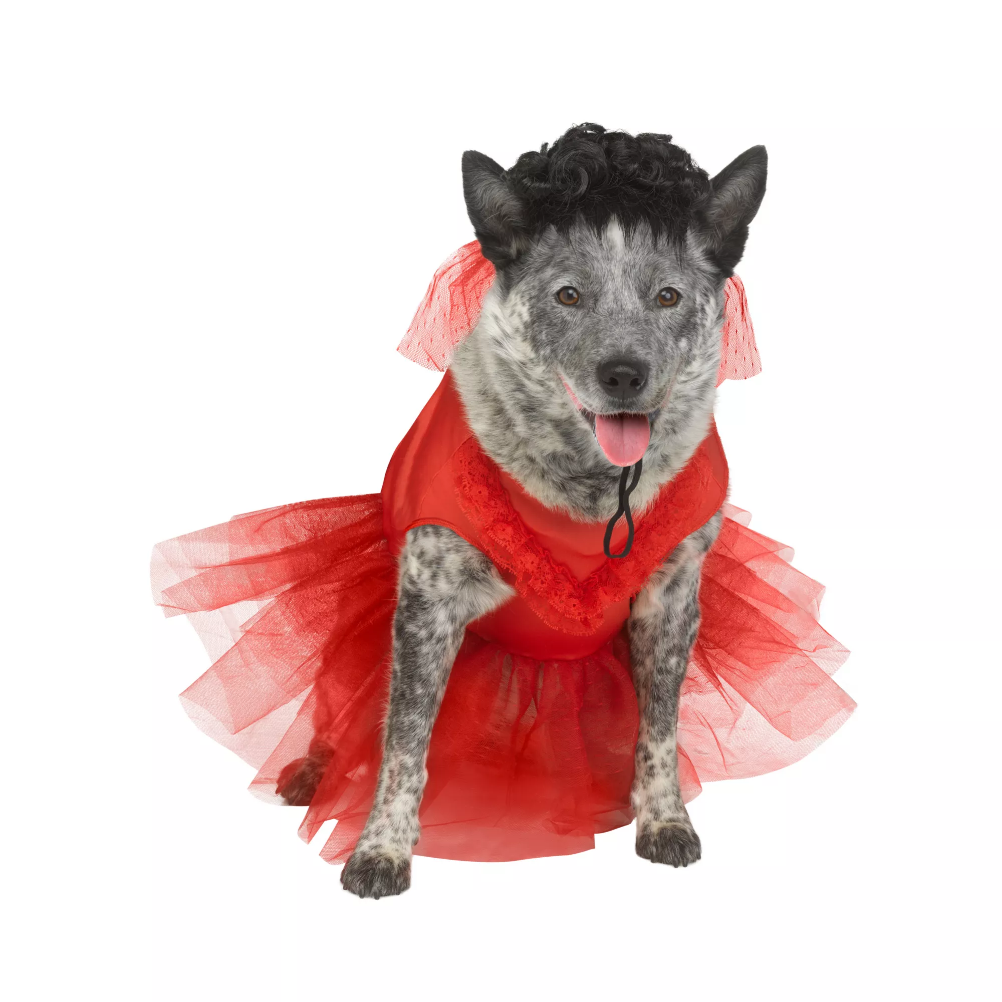 Lydia Deetz Pet Costume at Spirit Halloween