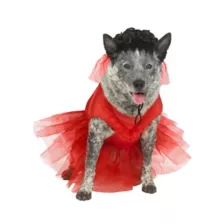 Lydia Deetz Pet Costume at Spirit Halloween
