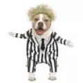 Beetlejuice Pet Costume at Spirit Halloween