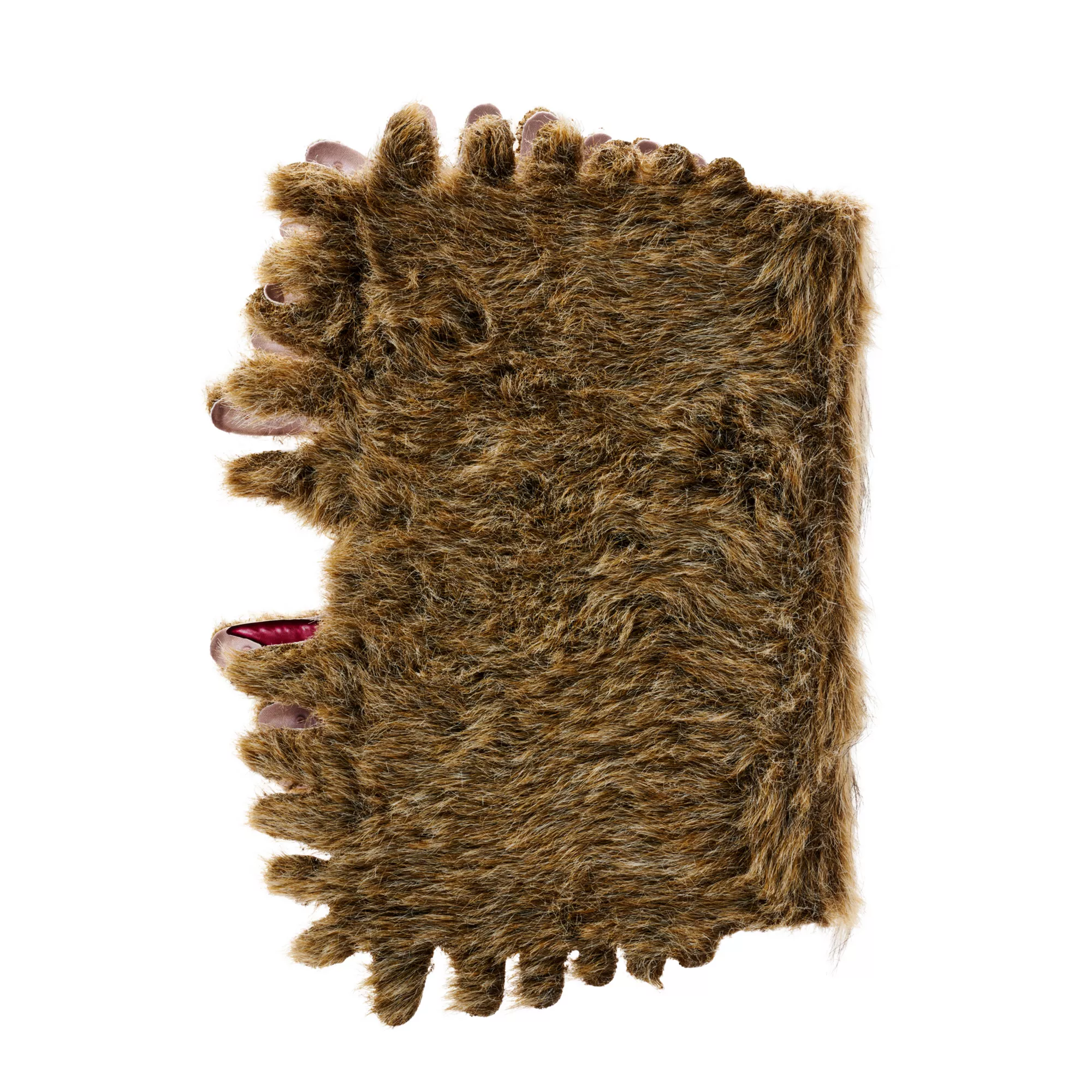 The Monster Book of Monsters Trinket Box - Harry Potter