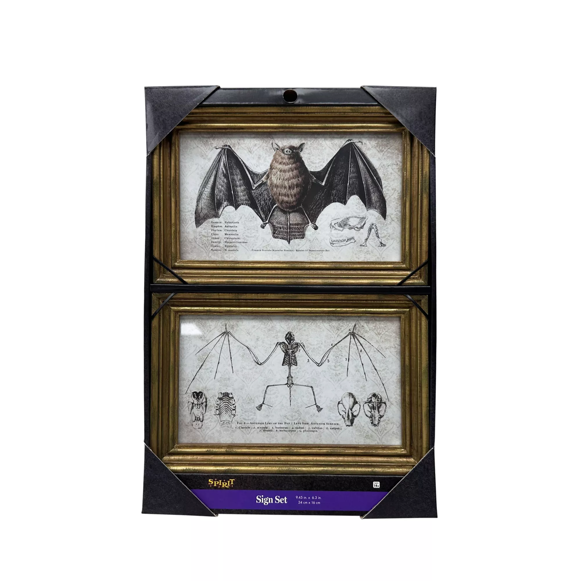 Bat Sign Set - 2 Piece