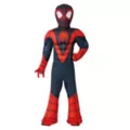 Toddler Spider-Man Spin Muscle Suit Costume -  Spidey and His Amazing Friends at Spencer's