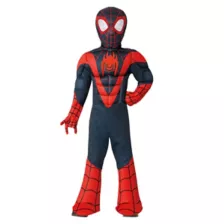 Toddler Spider-Man Spin Muscle Suit Costume -  Spidey and His Amazing Friends at Spencer's